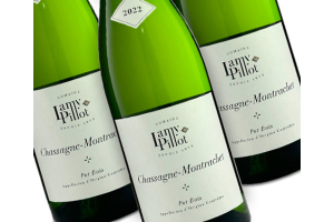 A 95 Point Chassagne Montrachet from the Great 2022 White Burgundy Vintage