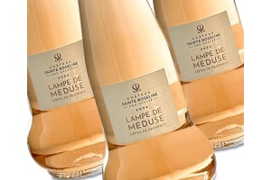 Provence's Best Kept Secret - A 92 Point Rosé for Only $19.99 