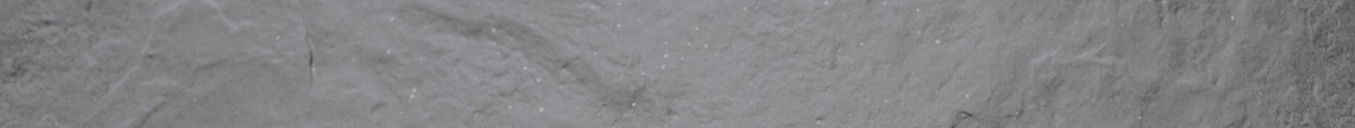 Winter Selections 2025