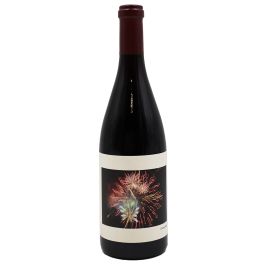 2019-Chanin-Pinot-Noir-Los-