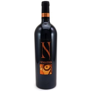 2004 numanthia toro Spain Red 