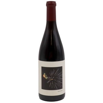 2019 chanin pinot noir bien nacido vineyard California Red 
