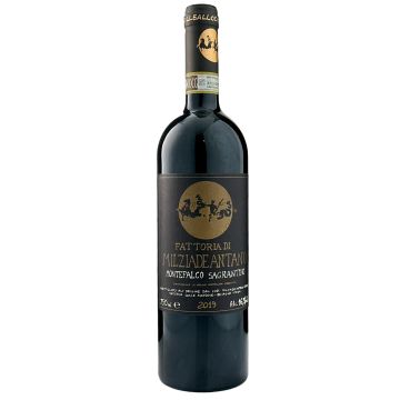 2019 Milziade Antono Sagrantino di Montefalco, Italy Red