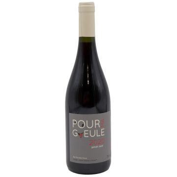 2020 clos des fous pour ma gueule pinot noir Chile Red 