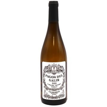 2020 virgen del galir valdeorras pagos del galir godello Spain White 