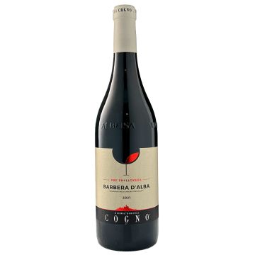 2021 Elvio Cogno Barbera d'Alba Pre-Phylloxera