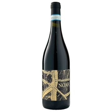 2021 Noah Dellamesola Coste della Sesia Rosso