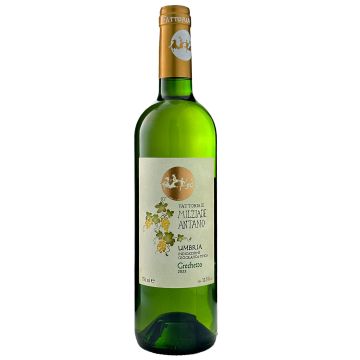 2023 Milziade Antano Grechetto dei Colli Martani, Italy White