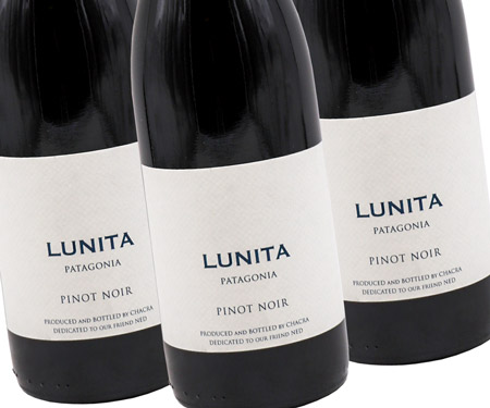 A 96 Point, Argentinian Pinot Noir – Lowest Market Price