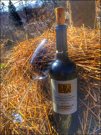 2013 Terredora Greco di Tufo Loggia della Serra