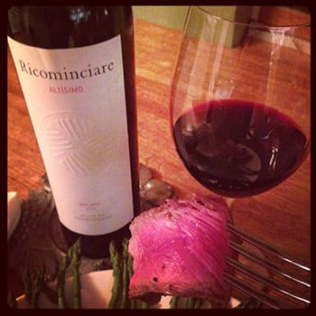 2008 Ricominciare Altisimo Malbec