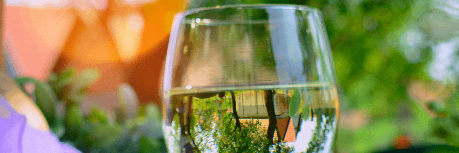 Chassagne Montrachet Wines Chassagne Montrachet Wines