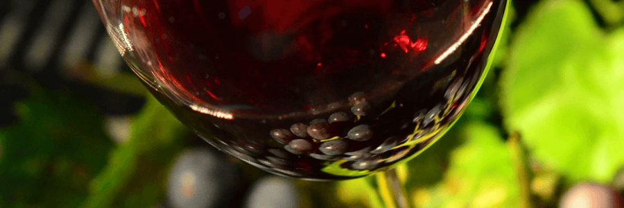 Malbec Wines Malbec Wines