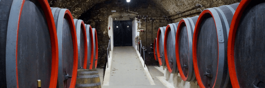 Morey Saint Denis Wines Morey Saint Denis Wines