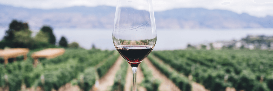 Spain Wines Spain Wines