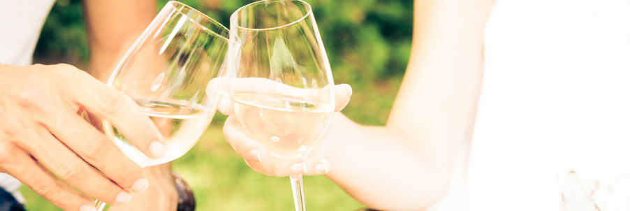 Chardonnay Wines Chardonnay Wines